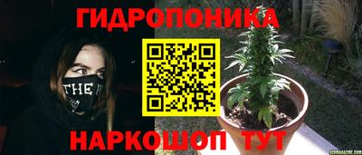 МДПВ Славянск-на-Кубани