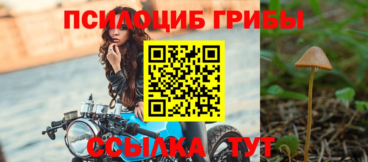 Галлюциногенные грибы мицелий Бахчисарай